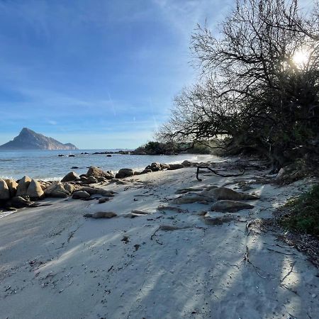 L'Assentu Villa Vaccileddi Luaran gambar