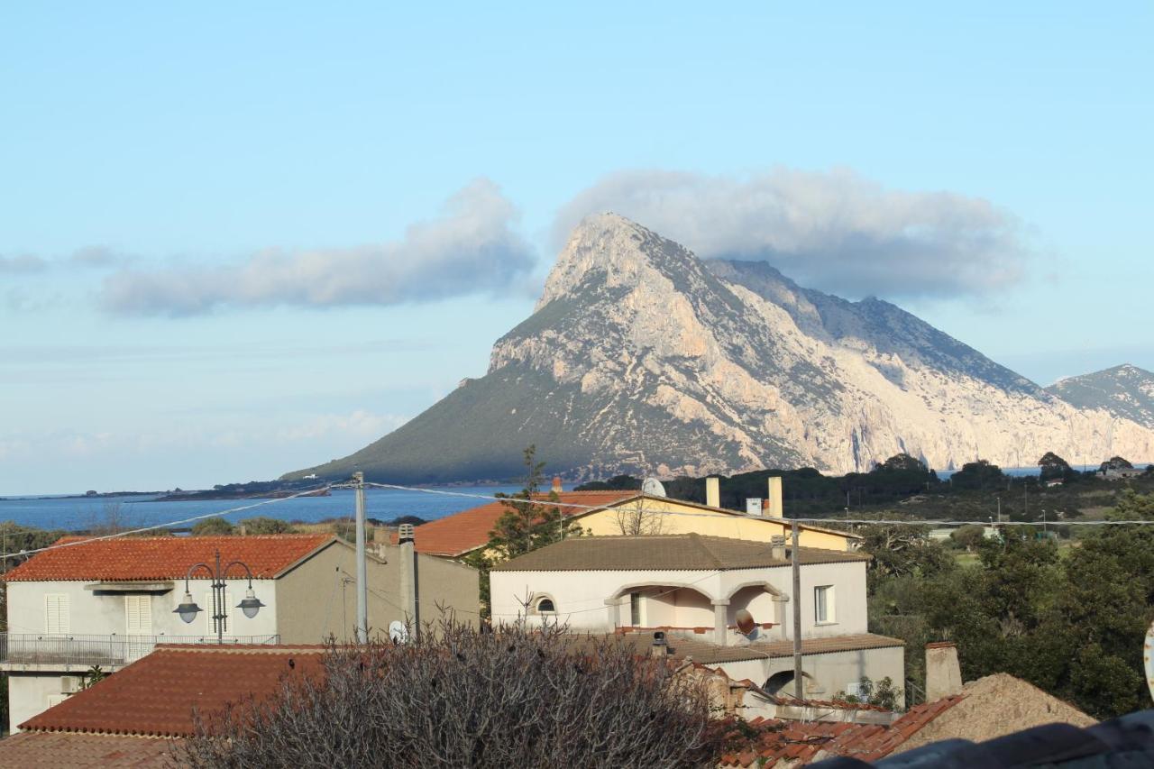 L'Assentu Villa Vaccileddi Luaran gambar